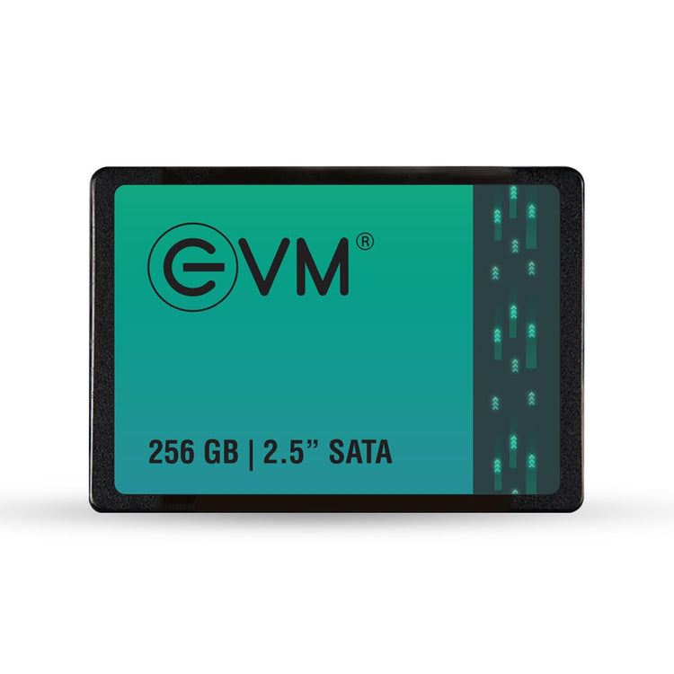 EVM 256GB
