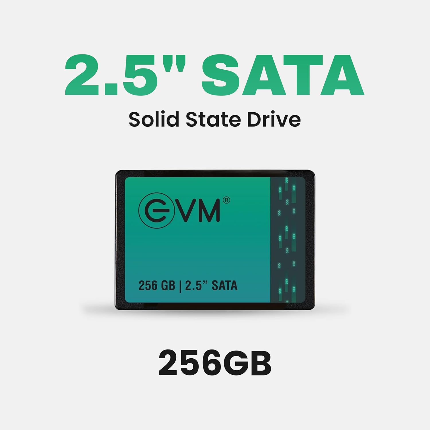 EVM 256GB 2.5-Inch SATA III Internal SSD | EVM25/256GB | 550MB/s Read | 500MB/s Write | 5-Year Warranty | PhoenixComputers.in